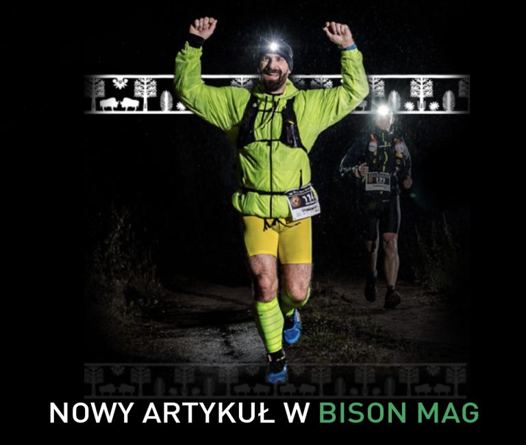 Nowy artykuł w BISON MAG!
