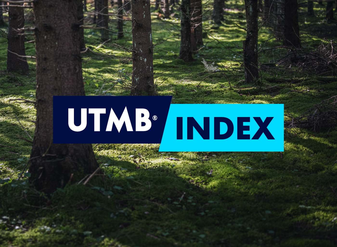 Bison Ultra-Trail zakwalifikowany do UTMB Index Race!