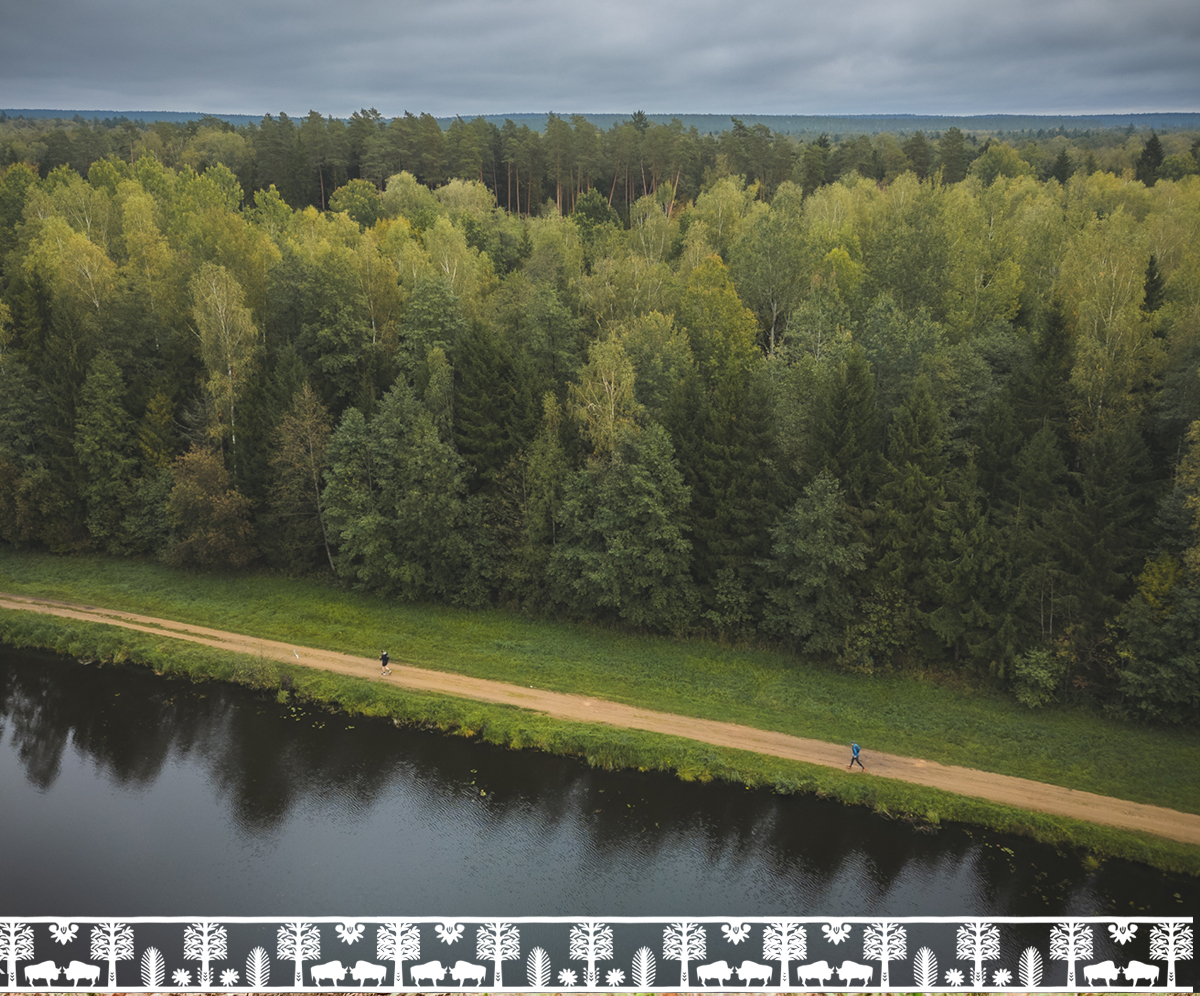 Biuro Zawodów Bison Festivalu.